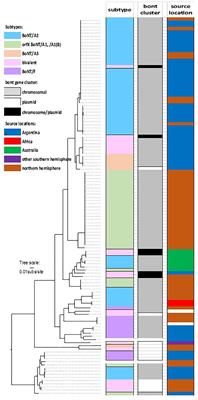 The Distinctive Evolution of orfX Clostridium parabotulinum Strains and Their Botulinum Neurotoxin Type A and F Gene Clusters Is Influenced by Environmental Factors and Gene Interactions via Mobile Genetic Elements